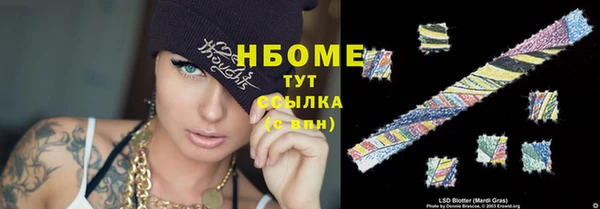 шишки Баксан