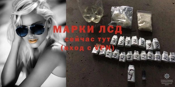 шишки Баксан