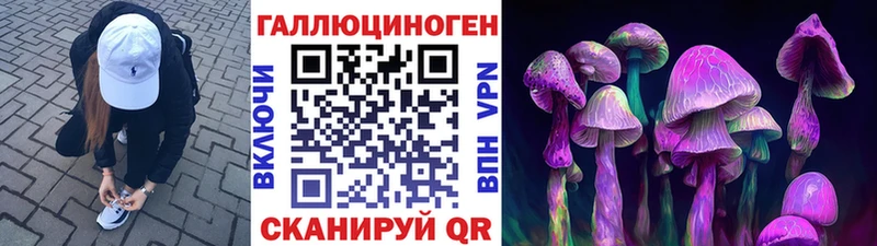 Псилоцибиновые грибы Cubensis Купить где Чебоксары
